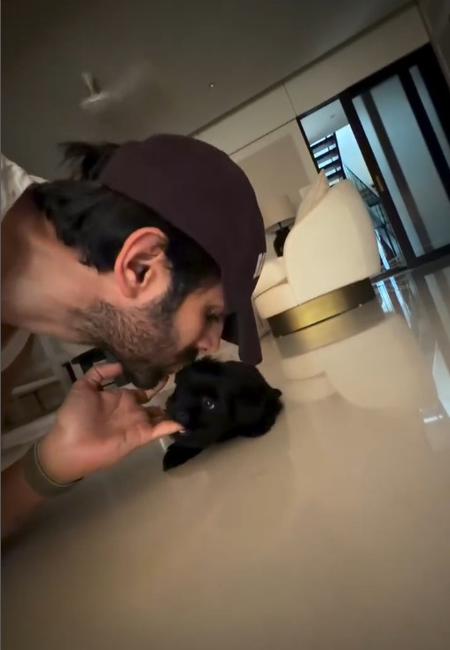 Kartik Aaryan channels his inner child as he plays with his fur baby Chatori Kartik Aaryan channels his inner child as he plays with his fur baby Chatori