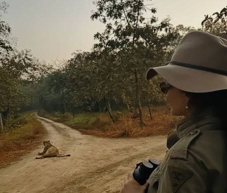 कंगना रनौत ने गिर नेशनल पार्क की तस्वीरें शेयर कीं, फैंस बोले- गुजरात में शेर देखने गई हिमाचल की शेरनी कंगना रनौत ने गिर नेशनल पार्क की तस्वीरें शेयर कीं, फैंस बोले- गुजरात में शेर देखने गई हिमाचल की शेरनी