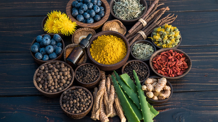 योगवाही औषधियां, जो किसी जड़ी-बूटी के असर को कर दें दोगुना