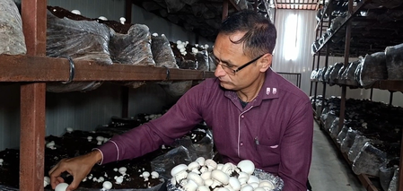 जम्‍मू-कश्‍मीर उधमपुर में मशरूम की खेती ने बदली जोगिंदर की जिंदगी, बढ़ी आमदनी और दे रहे लोगों को रोजगार