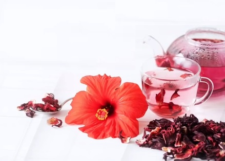 कोलेस्ट्रॉल कम करने से वजन घटाने तक, सेहत के लिए वरदान गुड़हल की चाय