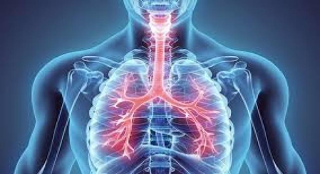 लंग डिटॉक्स फेफड़ों को बनाएं स्वस्थ और मजबूत, अपनाएं घरेलू उपाय लंग डिटॉक्स फेफड़ों को बनाएं स्वस्थ और मजबूत, अपनाएं घरेलू उपाय