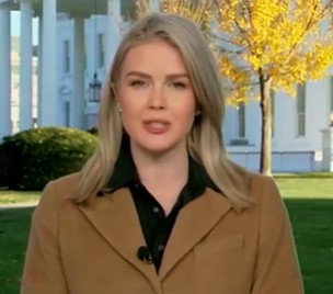 White House defends Trump’s H-1B stance as 'common sense'