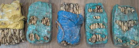 कश्मीर में ड्रग्स सप्लाई मॉड्यूल का भंडाफोड़, ढाई किलो से ज्यादा चरस जब्त, तीन गिरफ्तार