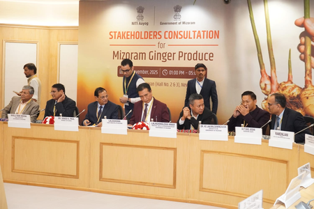 Boost for Mizoram’s organic ginger as NITI Aayog bats for national recognition