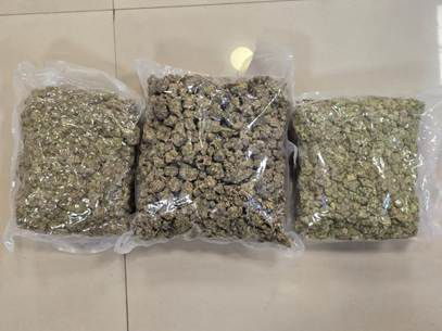 मुंबई एयरपोर्ट पर चार दिन में 32.70 करोड़ रुपए का हाइड्रोपोनिक गांजा बरामद