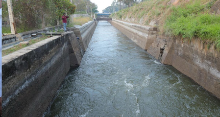 TN: PAP canal breach delays water release, farmers demand quick action