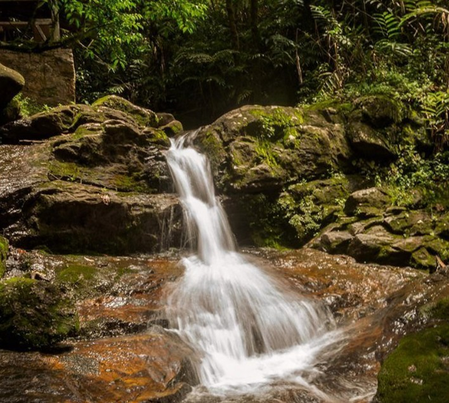 अफ्रीका की जमीन के नीचे दबी है दौलत, छुपे खजाने ने बदली जियो पॉलिटिक्स