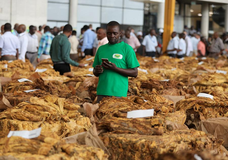 Parties to WHO tobacco protocol adopt steps to boost cooperation against illicit trade Parties to WHO tobacco protocol adopt steps to boost cooperation against illicit trade