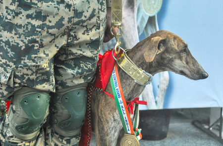 Surveillance beefed up at Indo-Pak border in Barmer after Pak intruder apprehended by BSF