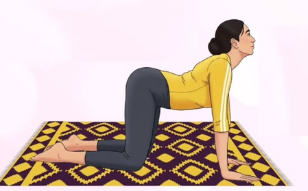 कमर, गर्दन और कंधों के दर्द से परेशान? मार्जरी-बिटिलासन है समाधान कमर, गर्दन और कंधों के दर्द से परेशान? मार्जरी-बिटिलासन है समाधान