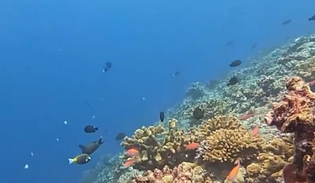 हुआंगयान द्वीप में पारिस्थितिकी पर्यावरण की रिपोर्ट जारी की