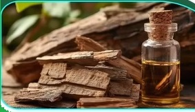 हृदय की मांसपेशियों को मजबूती देता है अर्जुन की छाल का रस, जानें क्या कहता है आयुर्वेद हृदय की मांसपेशियों को मजबूती देता है अर्जुन की छाल का रस, जानें क्या कहता है आयुर्वेद