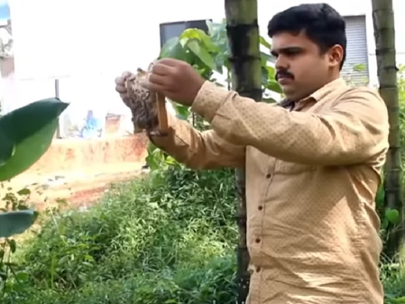 मन की बात पीएम मोदी ने शहद की बात, बोले-11 साल में डेढ़ लाख मीट्रिक टन पहुंचा उत्पादन मन की बात पीएम मोदी ने शहद की बात, बोले-11 साल में डेढ़ लाख मीट्रिक टन पहुंचा उत्पादन