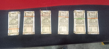 पश्चिम बंगाल भारत-बांग्लादेश सीमा पर बीएसएफ ने नकली मुद्रा की तस्करी को किया नाकाम