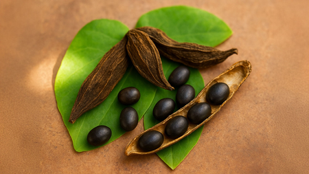 क्रोंच बीज पुरुष के लिए एक चमत्कारी आयुर्वेदिक टॉनिक, जो तन-मन दोनों का रखे ख्याल क्रोंच बीज पुरुष के लिए एक चमत्कारी आयुर्वेदिक टॉनिक, जो तन-मन दोनों का रखे ख्याल