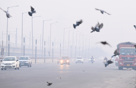 Air pollution can heighten anxiety and trigger panic-like symptoms: Doctors