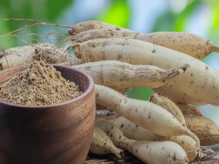 शतावरी सिर्फ महिलाओं के लिए ही नहीं बल्कि पुरुषों के लिए भी है वरदान