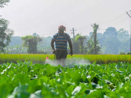 उर्वरकों और कृषि उत्पादों पर जीएसटी में कटौती से खेती की लागत में कमी आई : केंद्र उर्वरकों और कृषि उत्पादों पर जीएसटी में कटौती से खेती की लागत में कमी आई : केंद्र