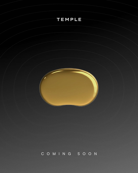 Deepinder Goyal unveils teaser of ‘Temple’, a brain-flow device