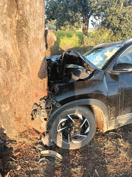 मध्य प्रदेश श्योपुर में तेज रफ्तार कार पेड़ से टकराई, पूर्व मंत्री के भांजे की मौत मध्य प्रदेश श्योपुर में तेज रफ्तार कार पेड़ से टकराई, पूर्व मंत्री के भांजे की मौत