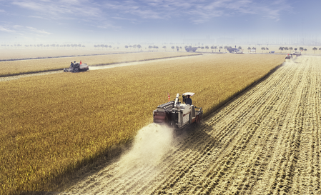 2025 में चीन का अनाज उत्पादन 7 खरब किलोग्राम से अधिक 2025 में चीन का अनाज उत्पादन 7 खरब किलोग्राम से अधिक