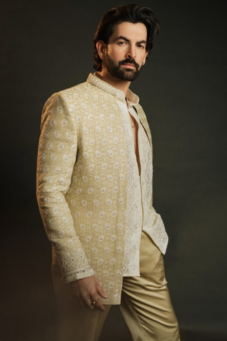 विकसित भारत का सपना समय से पहले होगा साकार: नील नितिन मुकेश