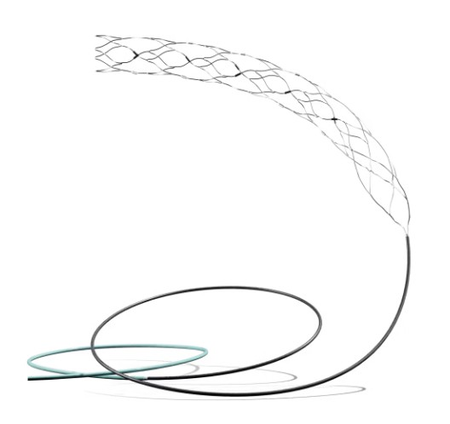 AIIMS-led trial on most advanced brain stent shows promise for stroke patients