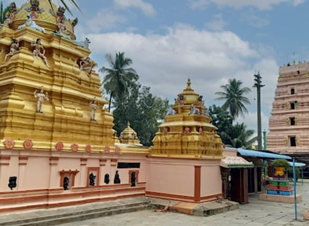 श्री दुर्गा नागेश्वर स्वामी मंदिर सर्प दोष निवारण का प्रमुख तीर्थ, ‘दक्षिण का काशी’ श्री दुर्गा नागेश्वर स्वामी मंदिर सर्प दोष निवारण का प्रमुख तीर्थ, ‘दक्षिण का काशी’