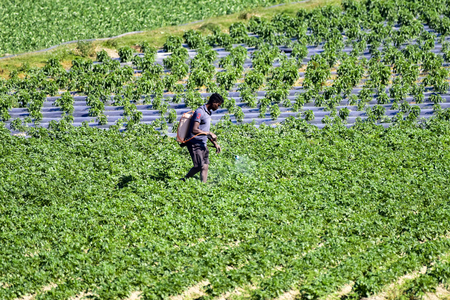 Agriculture must play a central role in national transformation: Niti Aayog report Agriculture must play a central role in national transformation: Niti Aayog report