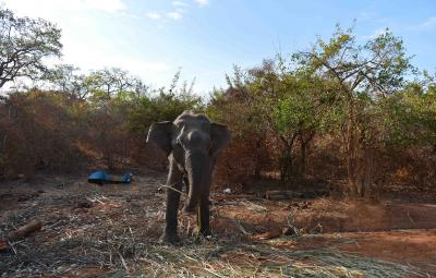 Sri Lanka to revive tourism after Cyclone Ditwah Sri Lanka to revive tourism after Cyclone Ditwah