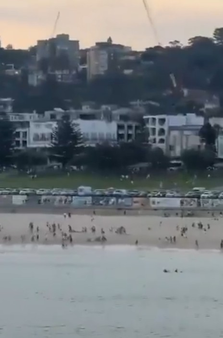 Israeli President condemns attack on Jewish community event in Sydney Israeli President condemns attack on Jewish community event in Sydney