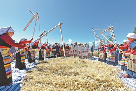 इस वर्ष शीत्सांग में अनाज का रिकॉर्ड उत्पादन इस वर्ष शीत्सांग में अनाज का रिकॉर्ड उत्पादन