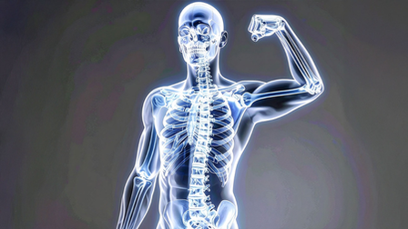 हड्डियों को मजबूत रखता है बोन मैरो, आयुर्वेदिक औषधियों से मिलेगी ताकत हड्डियों को मजबूत रखता है बोन मैरो, आयुर्वेदिक औषधियों से मिलेगी ताकत