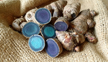 शरीर की इन समस्याओं के लिए औषधि से कम नहीं काली हल्दी, जानें फायदे और इस्तेमाल का तरीका