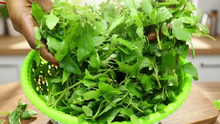 Bathua Ke Fayde: कब्ज से लेकर खून की कमी को दूर करने तक, बथुआ खाने से मिलते हैं ये 7 जबरदस्त फायदे