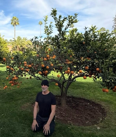 Akshay Kumar sits under an orange tree, reflects on growth Akshay Kumar sits under an orange tree, reflects on growth