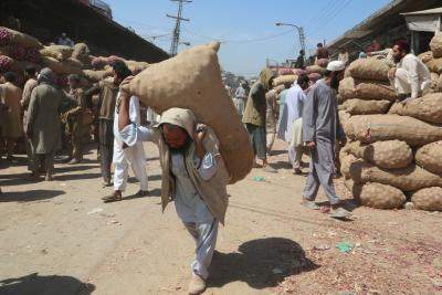 Pakistan: Flour price surge in Khyber Pakhtunkhwa sparks concerns among residents Pakistan: Flour price surge in Khyber Pakhtunkhwa sparks concerns among residents