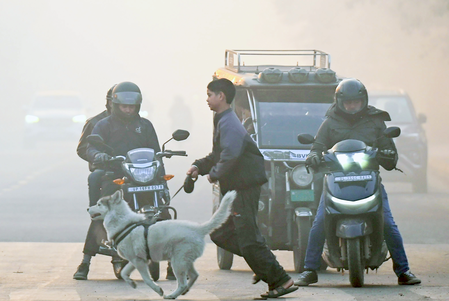 दिल्ली-एनसीआर में कड़ाके की ठंड और जहरीली हवा की दोहरी मार, हालात गंभीर दिल्ली-एनसीआर में कड़ाके की ठंड और जहरीली हवा की दोहरी मार, हालात गंभीर