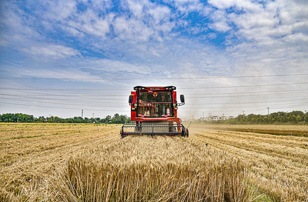 चीन के कृषि और ग्रामीण विकास ने 2025 तक स्थिर प्रगति बनाए रखी चीन के कृषि और ग्रामीण विकास ने 2025 तक स्थिर प्रगति बनाए रखी