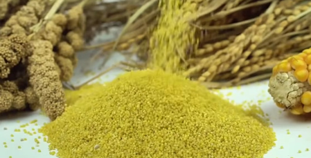 मन की बात : मिलेट्स को लेकर बोले पीएम मोदी- ये परंपरा, सेहत और रोजगार को एक साथ जोड़ रहा