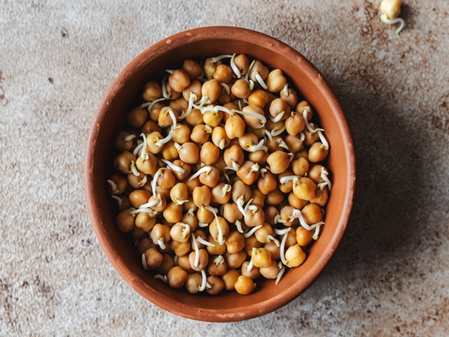 पाचन, कमजोरी और मांसपेशियों के लिए संजीवनी से कम नहीं है काला चना, जान लें खाने का सही समय और मात्रा