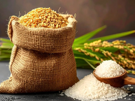 Rice vs Wheat: चावल या गेहूं कौन है सेहत के लिए ज्यादा फायदेमंद और कौन हानिकारक, जानें क्या कहता है आयुर्वेद