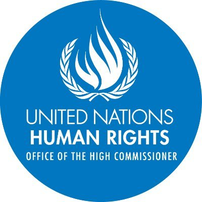 UN Human Rights, legal organisations slam sentencing of lawyers in Pakistan under PECA UN Human Rights, legal organisations slam sentencing of lawyers in Pakistan under PECA