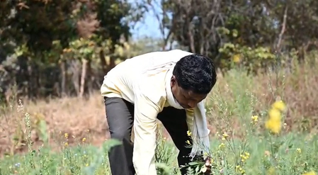 छत्तीसगढ़ में सौर क्रांति! नाबार्ड योजना ने मोहभट्टा के किसान की आय दोगुनी कर बदली तकदीर