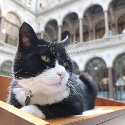 Palmerston diplocat passes away