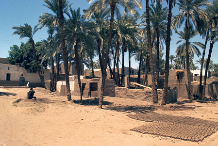 चीन और मिस्र की संयुक्त पुरातात्विक टीम ने मेम्फिस स्थित अजीज स्थल पर नई खोजों की घोषणा की