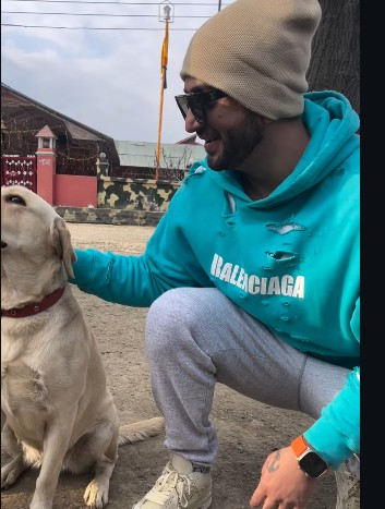 अली गोनी के जन्मदिन पर उमड़ा सितारों का प्यार, जैस्मीन भसीन-निया शर्मा और अंकिता लोखंडे ने खास अंदाज में दी बधाई