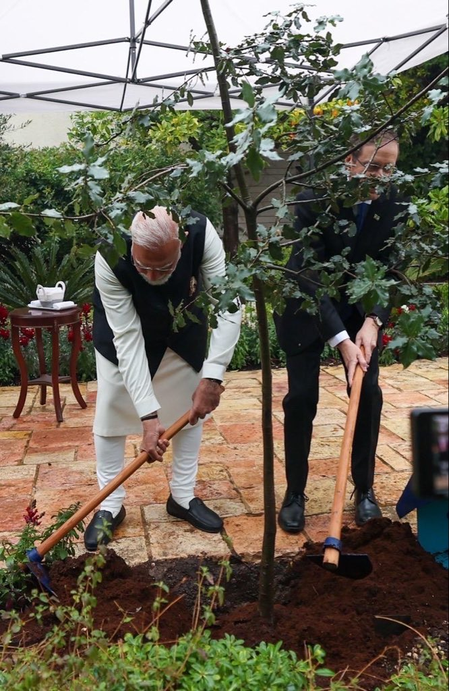 प्रधानमंत्री मोदी ने याद वाशेम में होलोकॉस्ट पीड़ितों को दी श्रद्धांजलि, राष्ट्रपति हर्जोग संग लगाया एक पेड़ मां के नाम