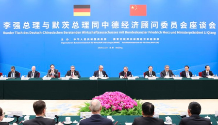 ली छ्यांग ने चीन-जर्मन आर्थिक सलाहकार समिति की संगोष्ठी में भाग लिया